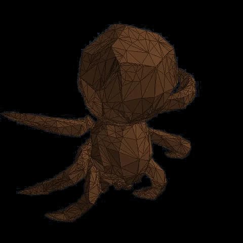 TNR Spider