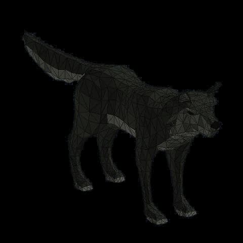 Gray Wolf